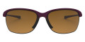 Raspberry Spritzer / Brown Gradient Polarized