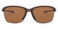 Matte Brown Tortoise / Prizm Tungsten Polarized