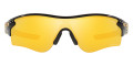 Polished Black / Prizm 24K Polarized