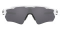 Polished White / Prizm Black Polarized