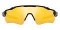 Polished Black / Prizm 24K Polarized