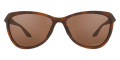Matte Brown Tortoise / Prizm Tungsten Polarized