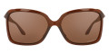 Polished Rootbeer / Prizm Tungsten Polarized