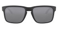 Matte Black / Prizm Black Polarized