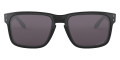 Polished Black / Prizm Gray 924430
