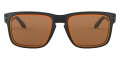 Matte Black / Prizm Bronze Ruby Alt Iridium