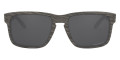 Woodgrain / Prizm Black Polarized