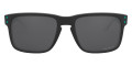 Black / Prizm Black Polarized