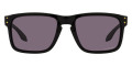 Polished Black / Prizm Gray 924453