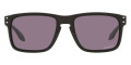Polished Black / Prizm Gray 924454