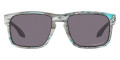 Sanctuary Swirl / Prizm Gray Polarized
