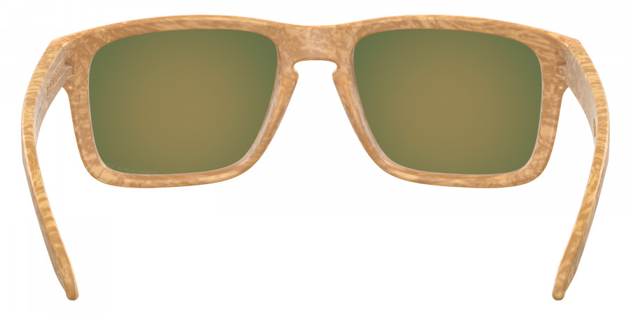 Oakley™ - Holbrook (A) OO9244