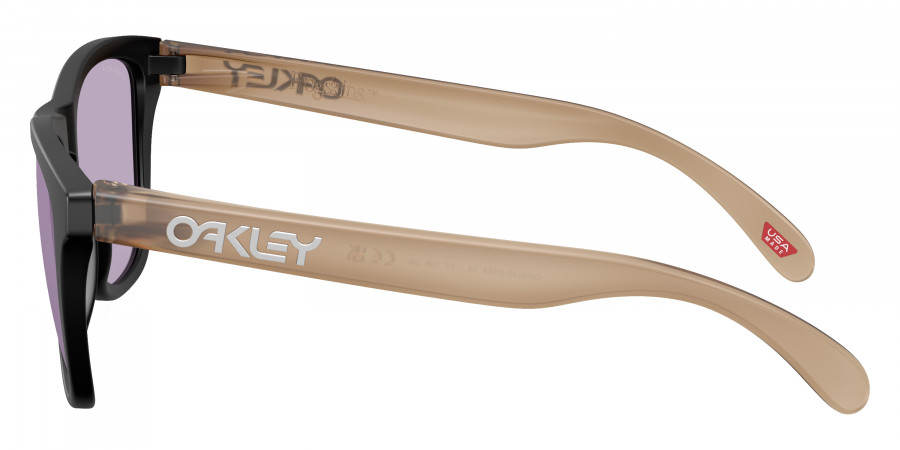 Oakley™ - Frogskins (A) OO9245