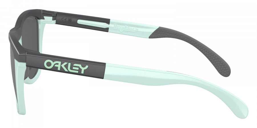 Oakley™ - Frogskins Range OO9284