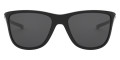 Polished Black / Gray