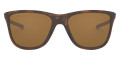 Matte Brown Tortoise / Tungsten Iridium Polarized