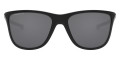 Matte Black / Prizm Black Polarized