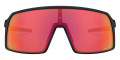 Matte Black / Prizm Trail Torch