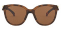 Matte Brown Tortoise / Prizm Tungsten Polarized