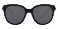 Polished Black / Prizm Black Polarized