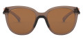 Matte Brown Smoke / Prizm Bronze Polarized