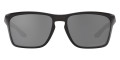 Black Ink / Black Iridium Polarized