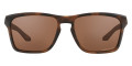 Matte Brown Tortoise / Prizm Tungsten Polarized