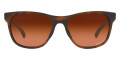 Matte Brown Tortoise / Prizm Brown Gradient