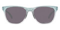 Blue Ice / Prizm Gray Polarized