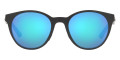 Matte Carbon / Prizm Sapphire Polarized