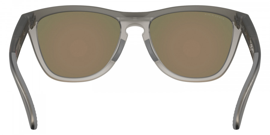 OAKLEY™ - OO9503 Frogskins™ Range XL