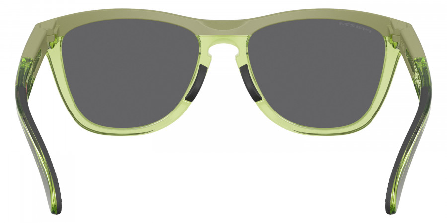 OAKLEY™ - OO9503 Frogskins™ Range XL