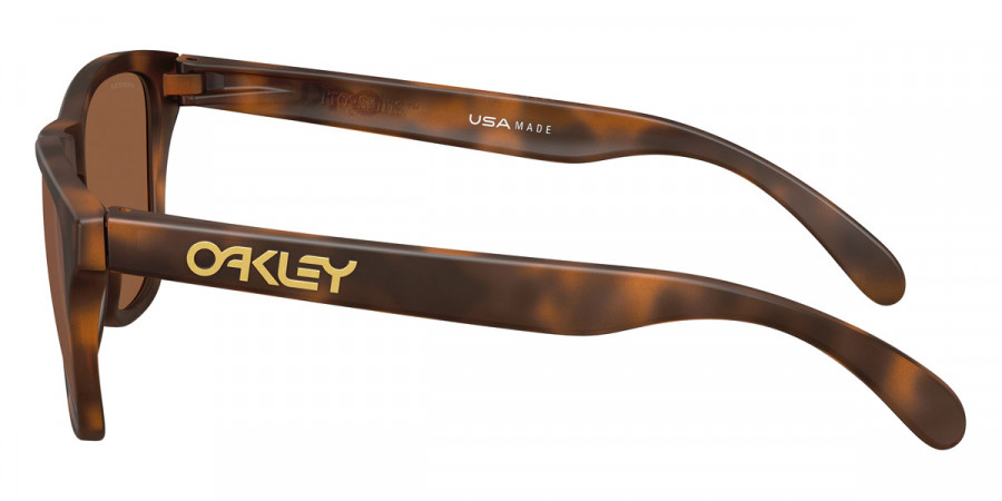 Oakley™ - Frogskins S OO9508
