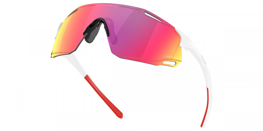 Oakley™ - Cybr Dyno OO9513D
