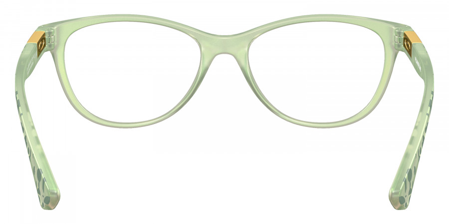 Oakley™ - Plungeline OX8146