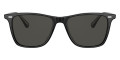 Black / Express Polarized
