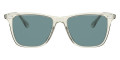 Pale Citrine / Teal Polarized