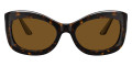 362 / Horn / Brown Polarized