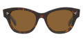 Dm2 / True Brown