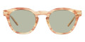 Hinoki Tortoise / Demo Lens Green Wash