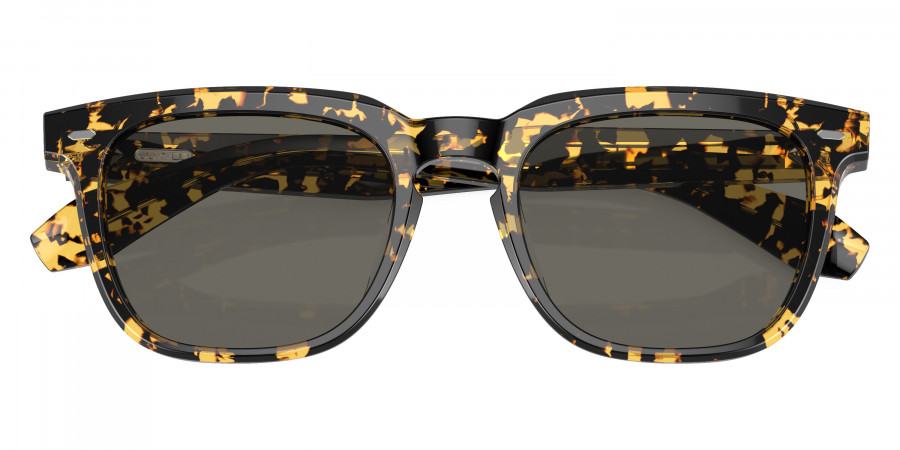 Oliver Peoples™ - N.06 Sun OV5546SU