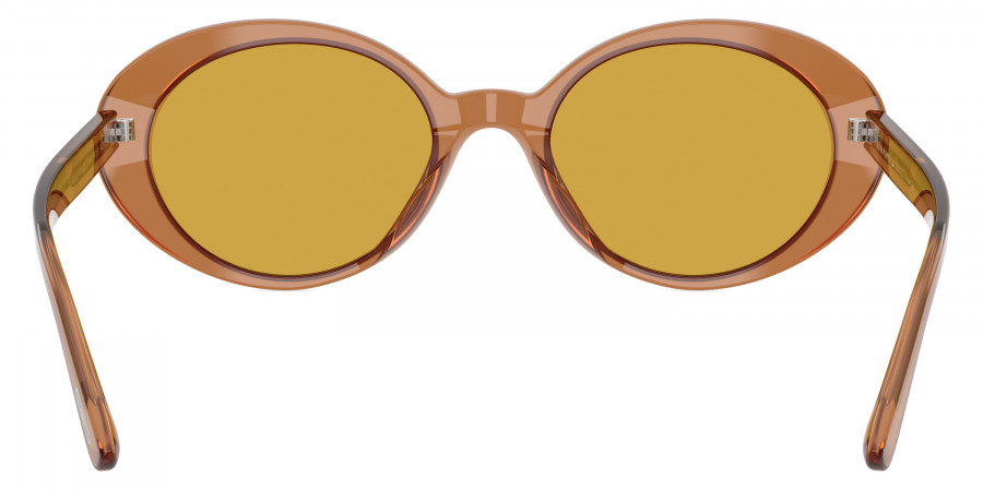 Oliver Peoples™ - Lumar OV5565SU