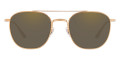 Brushed Gold / Demo Lenses