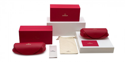 Example of Eyewear Cases by Omega™
