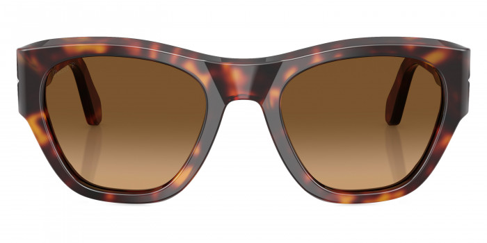 Persol™ PO0054S 24/M2 53 - Havana