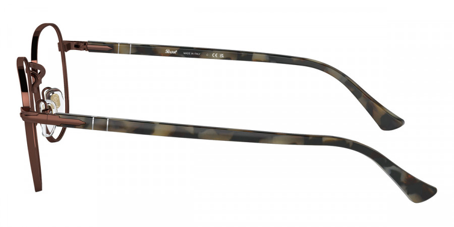 Color: Brown/Brown Tortoise (1148) - Persol PO1007V114851