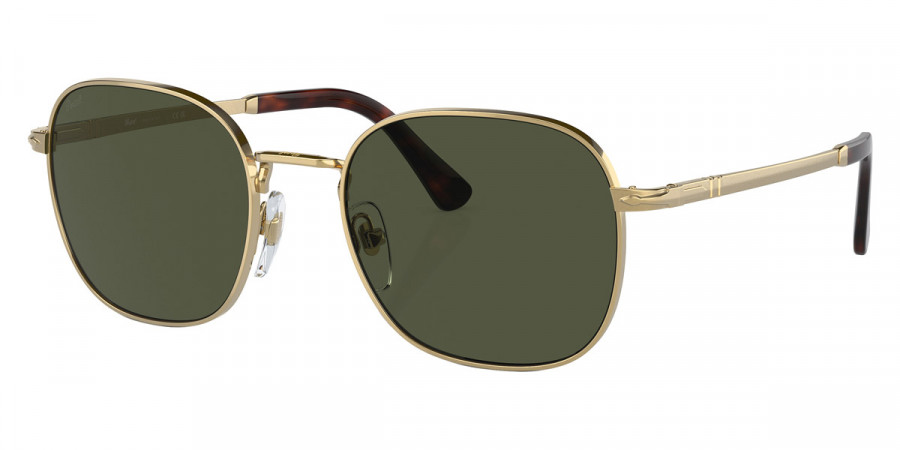 Color: Gold (515/31) - Persol PO1009S515/3154