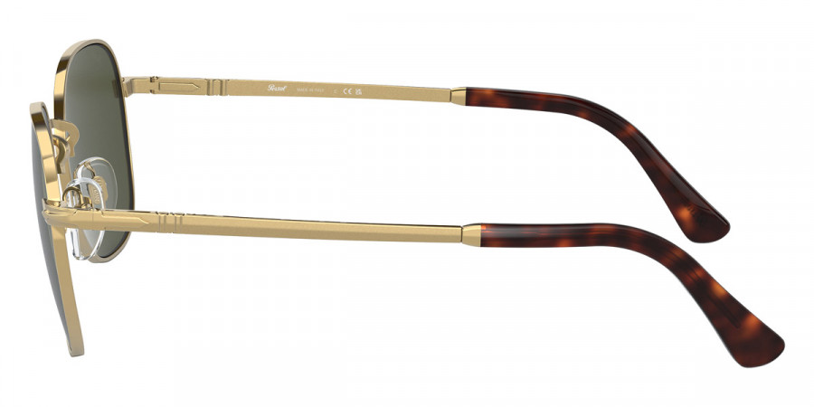 Color: Gold (515/31) - Persol PO1009S515/3154