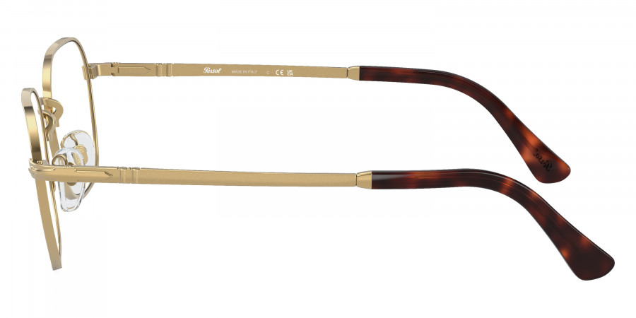 Persol™ - PO1010V
