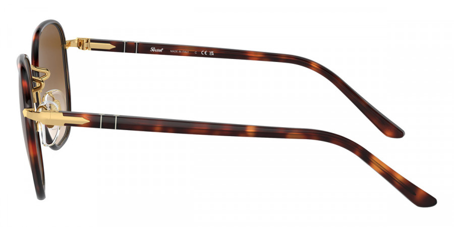 Color: Gold Havana/Havana (112651) - Persol PO1015SJ11265152